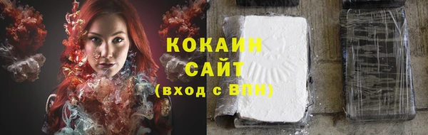 прущие грибы Алзамай
