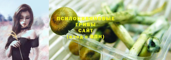 мяу мяу мука Алексин