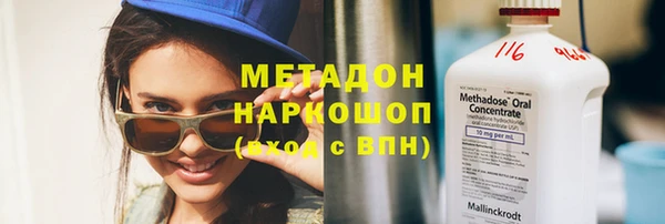 прущие грибы Алзамай