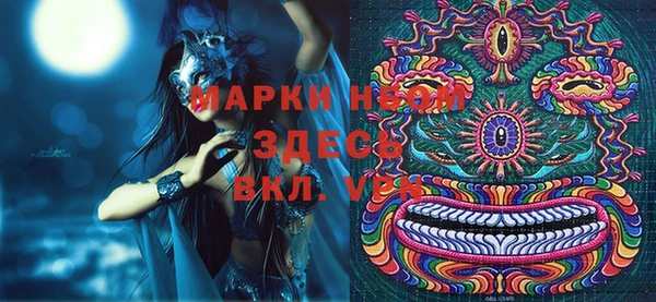 прущие грибы Алзамай