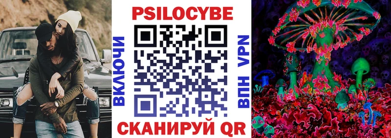 OMG маркетплейс  Благовещенск  Псилоцибиновые грибы GOLDEN TEACHER 